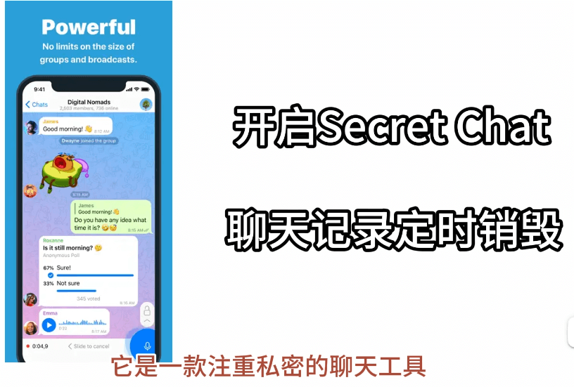 纸飞机支持聊天定时销毁